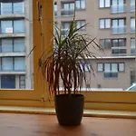 Bruges Blankenberge Coast Condo